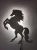 lampka-nocna-led-konik.webp